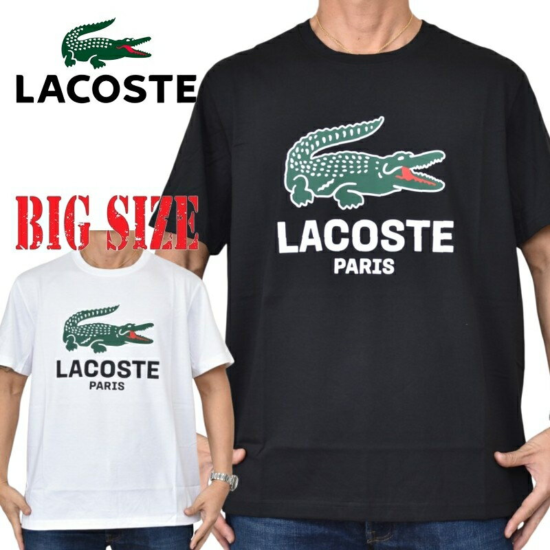 Lacoste ラコステ３点セット　サイズ５（L） 楽天市場】Lacoste ラコステ（サイズ（S/M/L）5L）（ポロシャツ