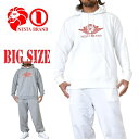 NESTA BRAND ネスタブランド JJAPAN加工 ウイング ライオン フーディー プルオーバー スウェット セットアップ パーカー 上下 XXL XXXL 大きいサイズ メンズ あす楽