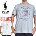 ポロ ラルフローレン POLO Ralph Lauren ワンポイント クルーネック 半袖Tシャツ XL XXL 大きいサイズ メンズ