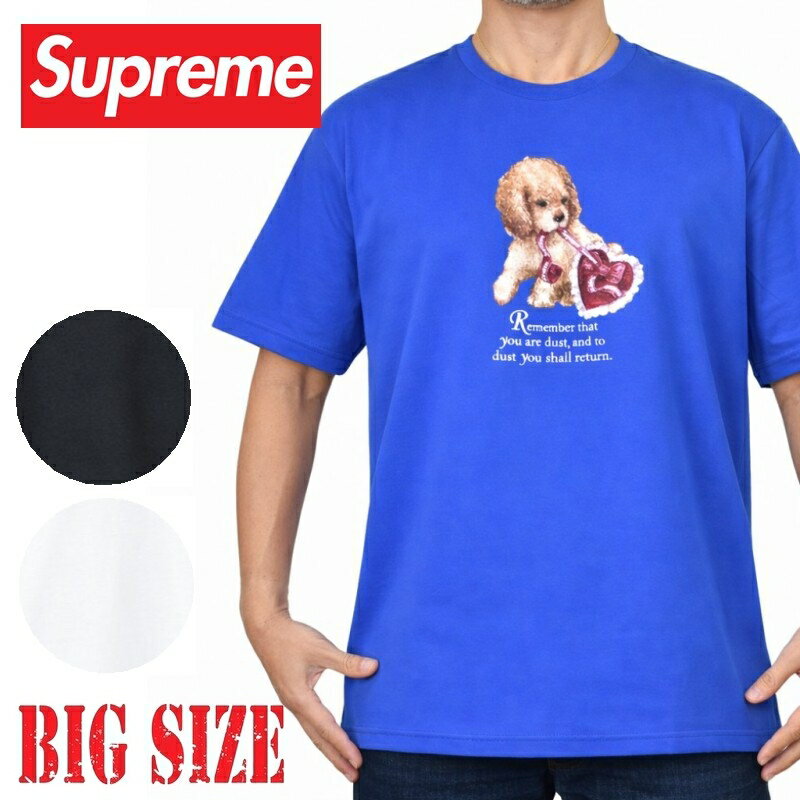 楽天市場】dustbox Tシャツ（メンズファッション）の通販
