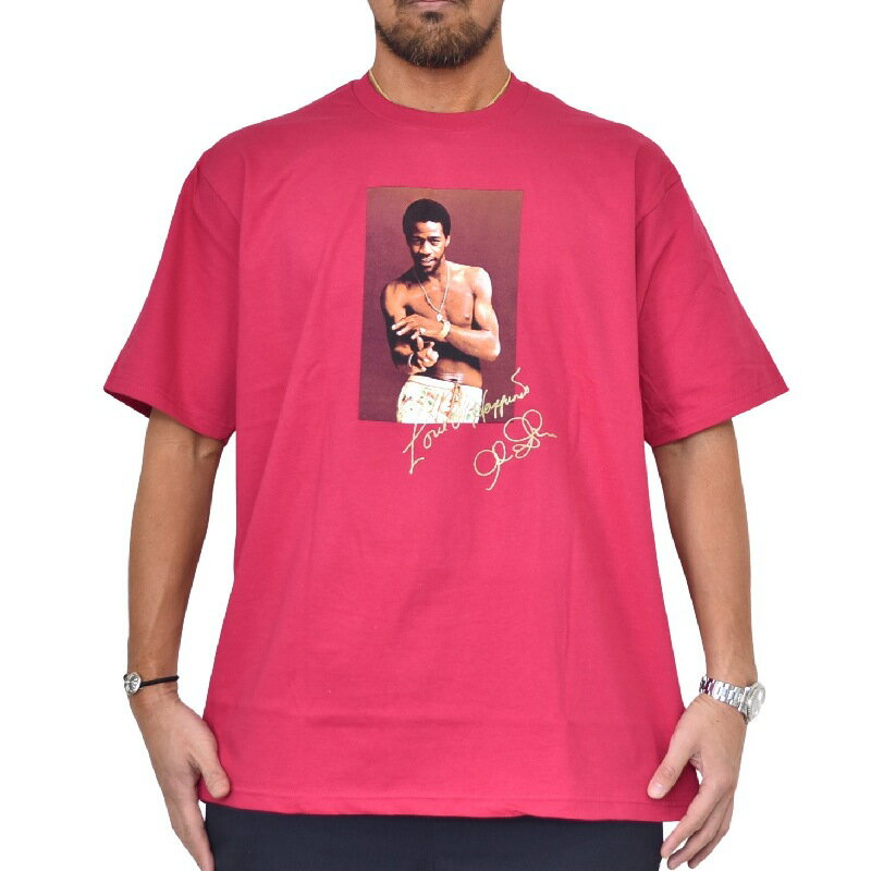 大きいサイズ メンズ Supreme シュプリーム Al Green Tee 半袖Tシャツ XL