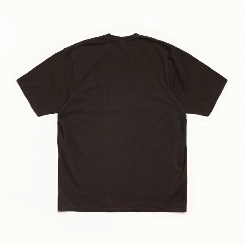 大きいサイズメンズ STUSSY ステューシー...の紹介画像3