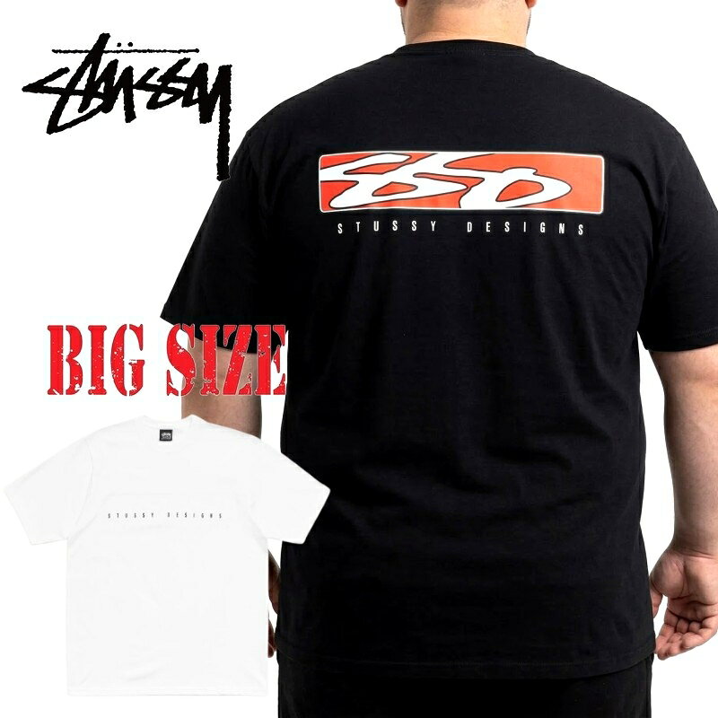 XLサイズ】ステューシー☆両面肉厚ロゴ入り Tシャツ 入手困難 STUSSY