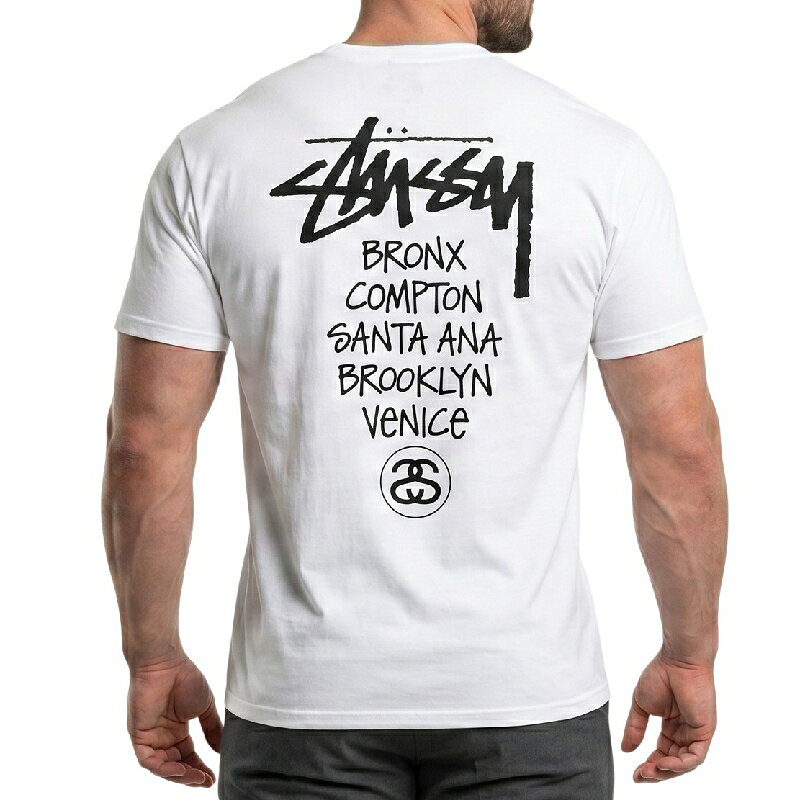 楽天市場】stussy tシャツ グラフィックの通販