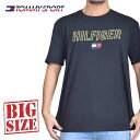 大きいサイズ メンズ TOMMY HILFIGER SPORT トミーヒルフィガースポーツ 半袖Tシャツ クルーネック ロゴプリント XL XXL