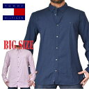 傫TCY Y TOMMY HILFIGER g~[qtBK[  Vc |Cg  XL XXL y