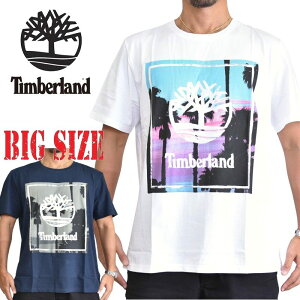 ティンバーランド 半袖 パームツリーボックスグラフィックロゴ Tシャツ Timberland USAモデル XL XXL XXXL 大きいサイズ メンズ [M便 1/1]
