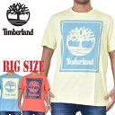 ティンバーランド 半袖 パームツリー ボックス グラフィックロゴ Tシャツ Timberland USAモデル XL 大きいサイズ メンズ