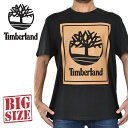 大きいサイズ メンズ Timberland ティンバーランド 半袖 Tシャツ バックプリント ツリーボックスロゴ 黒 ブラック REGULAR FIT USAモデル XXL [M便 1/1]