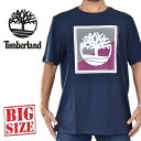 傫TCY Y Timberland eBo[h  TVc obNvg c[{bNXS lCr[ REGULAR FIT USAf XXL [M 1/1]