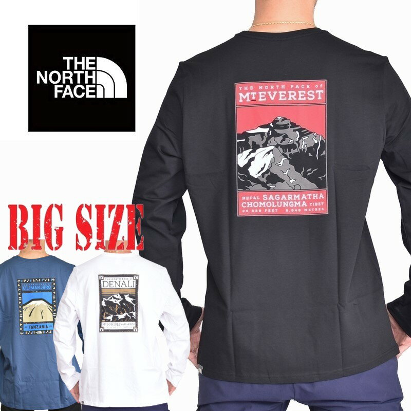 ノースフェイス ロンT 長袖 Tシャツ バックプリント 海外モデル ヨーロッパライン THE NORTH FACE XL XXL [M便 1/1] 黒 白 大きいサイズ メンズ