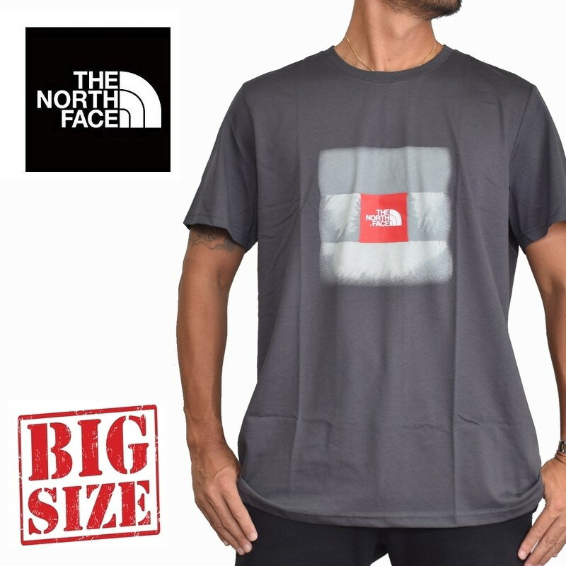 ノースフェイス 大きいサイズ メンズ 半袖 ロゴプリント Tシャツ Reissue ヨーロッパライン 海外限定 チャコールグレー XL XXL THE NORTH FACE