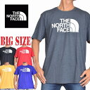 ノースフェイス 大きいサイズ メンズ 半袖 ハーフドーム プリント Tシャツ XL XXL 白 ホワイト STANDARD FIT THE NORTH FACE USAモデル