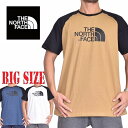 ノースフェイス 大きいサイズ メンズ 半袖 ラグラン ロゴプリント Tシャツ Raglan Easy ハーフドーム EUライン 海外モデル XL XXL THE NORTH FACE