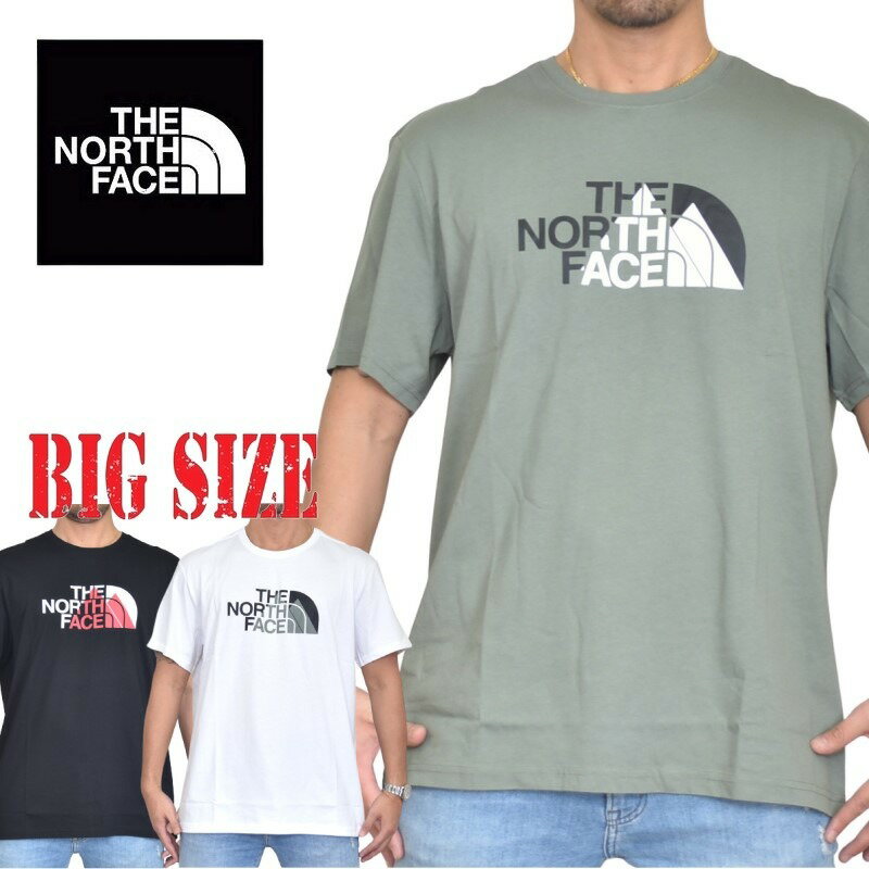 ノースフェイス 大きいサイズ メンズ 半袖 ロゴプリント Tシャツ Biner Graphic EUライン 海外モデル 黒 白 XL XXL THE NORTH FACE