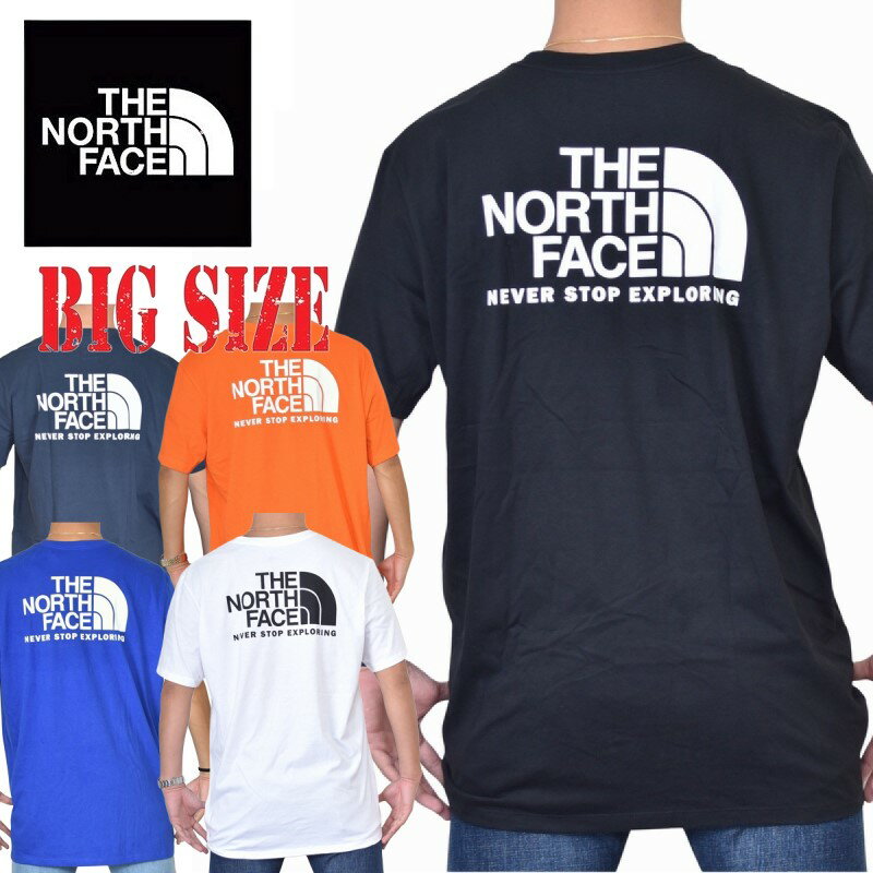 ノースフェイス 半袖 ハーフドーム バックプリント Tシャツ USAモデル XL XXL THE NORTH FACE 大きいサイズ メンズ [M便 1/1]