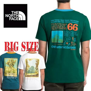 ノースフェイス 半袖 グラフィック バックプリント Tシャツ リンガー Rogue Graphic Tee USAモデル XL XXL THE NORTH FACE 大きいサイズ メンズ [M便 1/1]