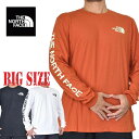 ノースフェイス 大きいサイズ メンズ ロンT 長袖 Tシャツ 袖ロゴ アームプリント XL XXL XXXL Long Sleeve TNF SLEEVE HIT TEE USAモデル THE NORTH FACE