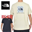 ノースフェイス 大きいサイズ メンズ 半袖 ロゴプリント Tシャツ Redbox TEE EUライン 海外モデル XL XXL THE NORTH FACE