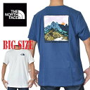 ノースフェイス 大きいサイズ メンズ 半袖 Tシャツ バックプリント SS GRAPHIC INJECTION TEE XL XXL XXXL USAモデル THE NORTH FACE