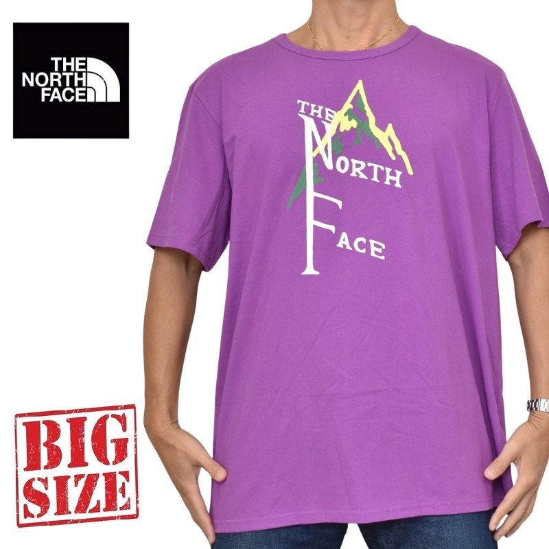 大きいサイズ メンズ ノースフェイス THE NORTH FACE 半袖 Tシャツ SS 1966 RINGER TEE USAモデル XXL 