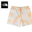 大きいサイズ レディース ノースフェイス THE NORTH FACE スウェット ショーツ ハーフパンツ ショートパンツ ハーパン DYE SHORTS 裏起毛 USAモデル XXL