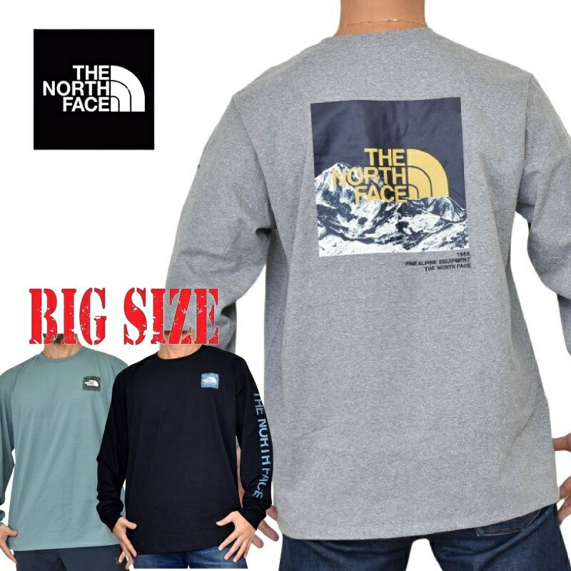 楽天BigSize DEF 大きいサイズメンズ大きいサイズ メンズ ノースフェイス ロンT 長袖 Tシャツ THE NORTH FACE LS LOGO PLAY TEE XL XXL