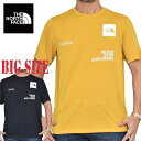 大きいサイズ メンズ ノースフェイス 半袖 Tシャツ EUモデル THE NORTH FACE Foundation Mountain L XL XXL