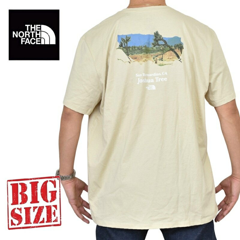 大きいサイズ メンズ ノースフェイス THE NORTH FACE 半袖 Tシャツ プリント USAモデル S/S PLACES WE LOVE TEE XL XXL