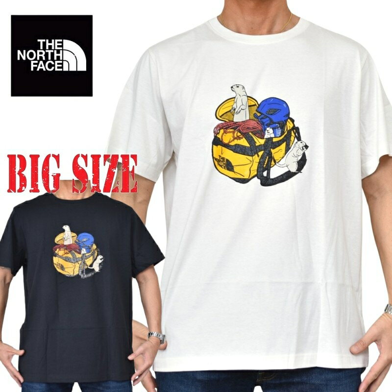 大きいサイズ メンズ ノースフェイス THE NORTH FACE 半袖 Tシャツ プリント USAモデル Woodland Wanderer Regular Short-Sleeve Tee XL XXL XXXL