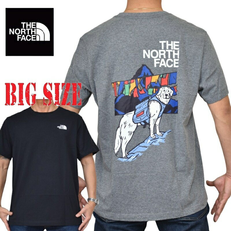 大きいサイズ メンズ ノースフェイス THE NORTH FACE 半袖 Tシャツ プリント USAモデル Sunlit Summit Short-Sleeve Tee XL XXL XXXL
