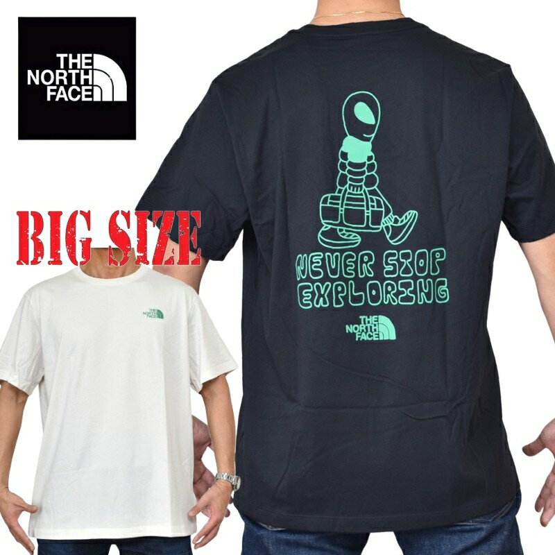 大きいサイズ メンズ ノースフェイス THE NORTH FACE 半袖 Tシャツ プリント USAモデル Celestial Drift Regular Short-Sleeve Tee XL XXL XXXL