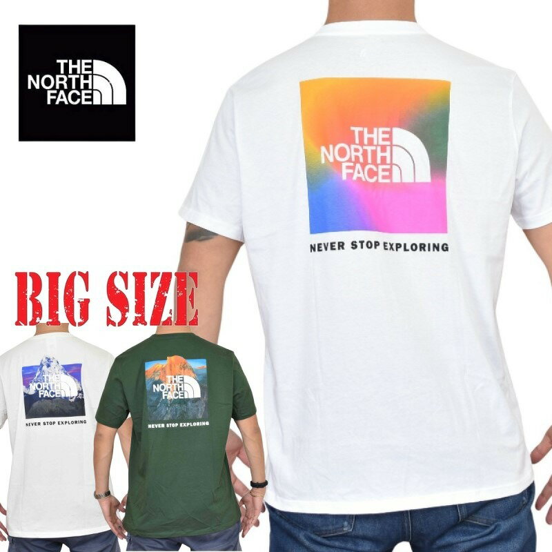 ノースフェイス 大きいサイズ メンズ 半袖 ボックスロゴ Tシャツ バックプリント SS PRINTED BOX NSE TEE XL XXL XXXL USAモデル THE NORTH FACE