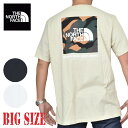 ノースフェイス 大きいサイズ メンズ 半袖 ボックスロゴ Tシャツ バックプリント SS PRINTED BOX NSE TEE XL XXL XXXL USAモデル THE NORTH FACE