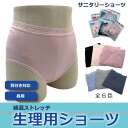 【昼用サニタリーショーツ】 婦人 レディース 羽付き対応 ストレッチ パッケージ入り 生理用 ショーツ(4)
