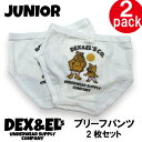 【創業6周年記念】DEX and EL's Underwear Company 「デックスとエルのパンツやさん」キッズ ブリーフ パンツ 企業ロゴ 【2枚セット】