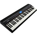 ローランド 電子キーボード GO:PIANO GO-61P ブラック GO61P (納期目安1-2週間) ※配送のみ お届けは玄関まで(2)
