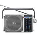 パナソニック FM/AM 2バンドレシーバー RF-2450-S シルバー RF2450S (納期目安2‐3週間)