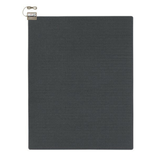 パナソニック ホットカーペット (3畳相当・本体のみ) DC-3JN (納期目安1-2週間) DC3JN