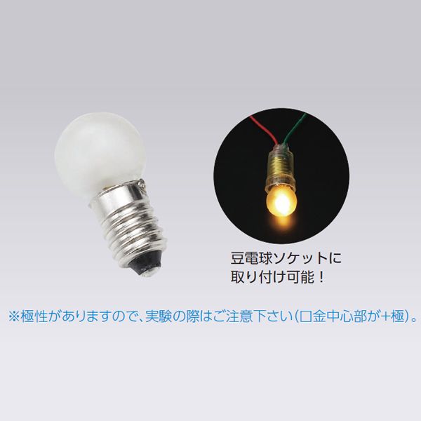 楽天理化学ショップ楽天市場店豆電球形低電圧LED DJ-0329
