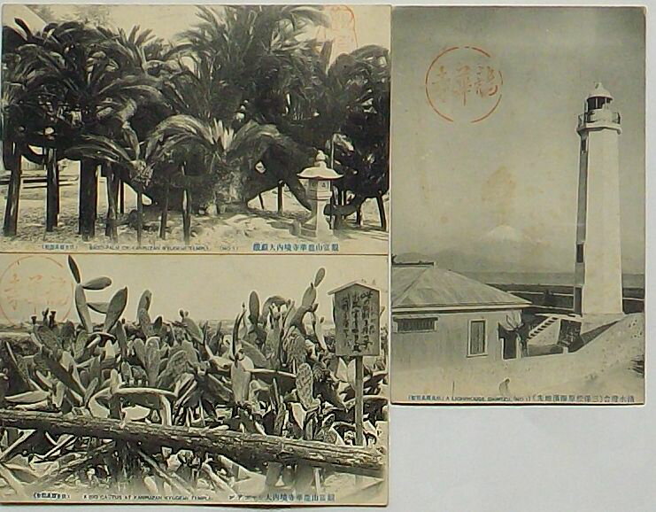 【中古】清水燈台・観富山龍華寺境内大蘇鉄・観富山龍華寺境内大シャボテン(絵葉書)