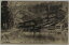 【中古】上州四万温泉田村旅館客室の一部及浴場(絵葉書) 1,100円