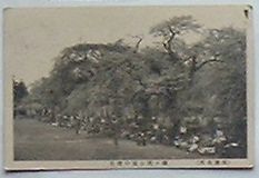 Rakuten - 【中古】仙台名所 榴ヶ岡公園の桜花(絵葉書)