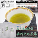 長崎県産 長崎そのぎ茶 ティーバッグ100包 3袋セット【ネコポス送料無料】 全国一律送料無料 ポスト投函 郵便受け投函 出島屋【冷凍送料別商品の同梱不可】
