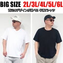 1000円ぽっきり 送料無料 メンズ 大きいサイズ tシャツ 半袖 3L 4L 5L 6L ビックサイズ キングサイズ 春 夏 秋 春服 夏服 秋服 白 黒 ホワイト ブラック 大人 おしゃれ おすすめ 30代 40代 50代 無地 シンプル インナー テレコ素材 おうち おうちコーデ