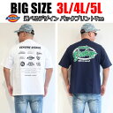 メンズ 大きいサイズ ブランド Dickies ディッキーズ Tシャツ 半袖 3L 4L 5L ブラック ホワイト カーキ ネイビー オーバーサイズ ビックシルエット プリント ワンポイント プリント レディース ユニセックス ペア オススメ 春 秋 冬