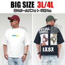 メンズ 大きいサイズ Tシャツ 半袖 3L 4L XXL XXXL プリント 丸首 vネック クルーネック ビックサイズ キングサイズ ストリート ガールズプリント ロゴ 黒 白 ブラック ホワイト アメカジ カジュアル 大人 30代 40代 50代