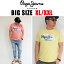 【送料無料】ペペジーンズ PEPEJEANS メンズ 大きいサイズ Tシャツ ブランド 半袖 国内正規品 XL XXL XXXL 2L 3L 4L ピンク イエロー ロゴ 新作 デニム ジーンズ Uネック 丸襟 丸首 カットソー 大人 30代 40代 50代