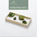フジゴケ fujigoke 枯山水 キットミニ庭園 苔 セット 卓上 インテリア コケ 苔 癒し 禅 日本製 おすすめ