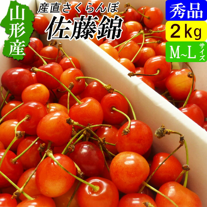 【送料無料】山形産 �